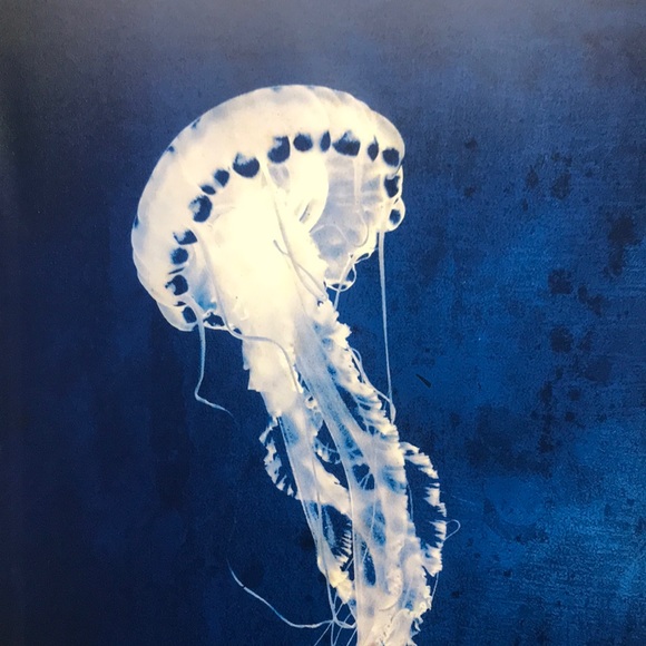 Hello - Picture 1 of 1